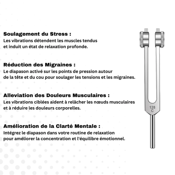 Le Diapason | Soin Par Vibrations – Image 3